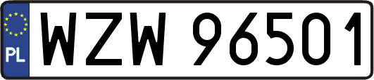 WZW96501
