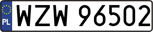 WZW96502