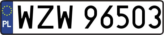 WZW96503