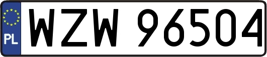 WZW96504