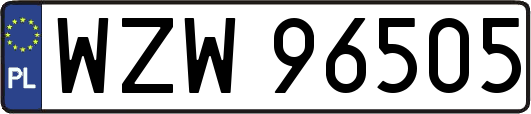 WZW96505