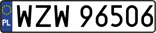 WZW96506