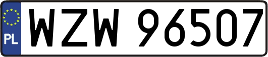 WZW96507