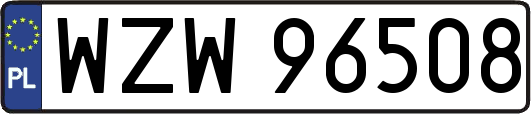 WZW96508