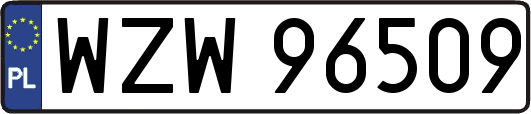 WZW96509