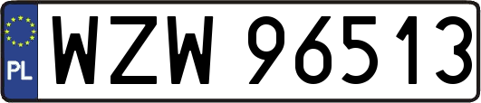 WZW96513