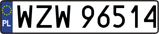WZW96514