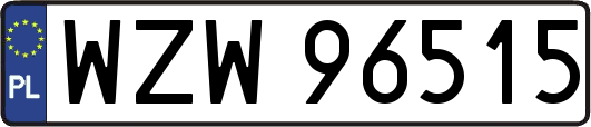WZW96515