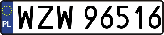 WZW96516