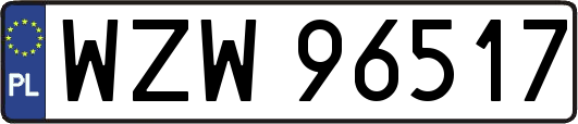 WZW96517