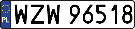 WZW96518