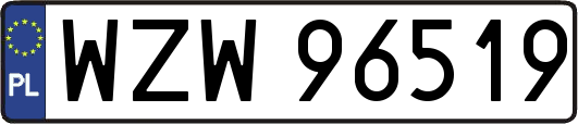 WZW96519