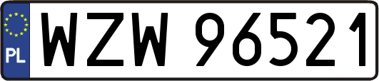 WZW96521