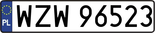 WZW96523
