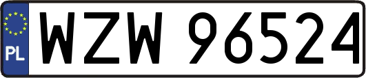 WZW96524