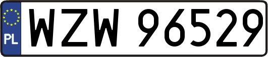 WZW96529
