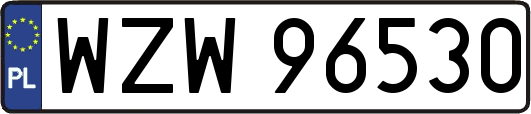 WZW96530