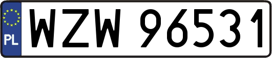 WZW96531