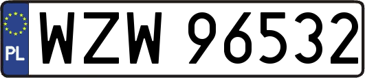 WZW96532