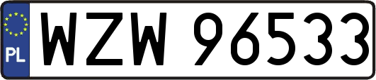 WZW96533