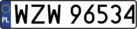 WZW96534