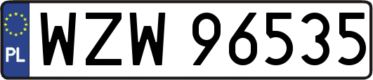 WZW96535