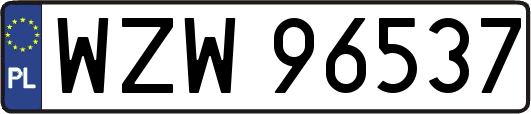 WZW96537