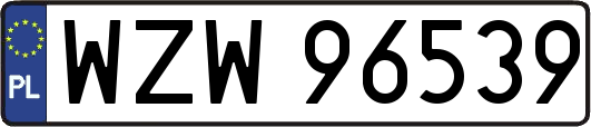 WZW96539