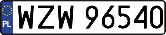 WZW96540