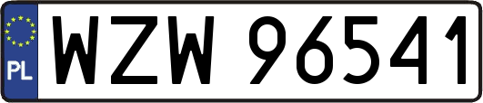 WZW96541