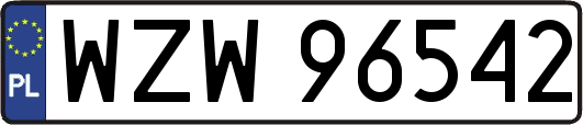 WZW96542