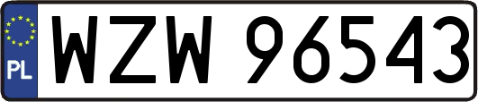WZW96543