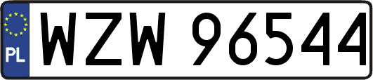 WZW96544