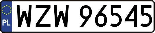 WZW96545