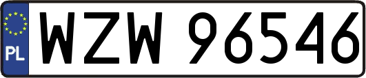 WZW96546