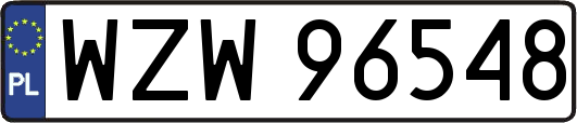 WZW96548
