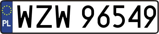 WZW96549