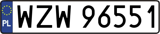 WZW96551