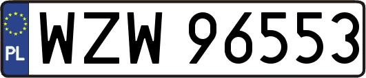 WZW96553