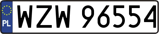 WZW96554