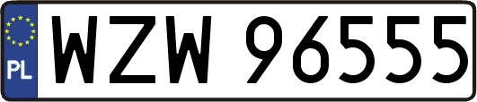 WZW96555