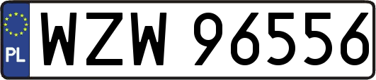 WZW96556