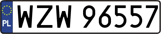 WZW96557