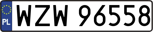 WZW96558