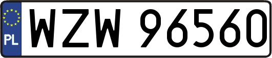 WZW96560