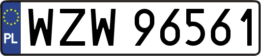 WZW96561