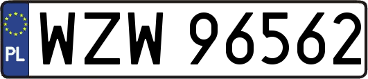 WZW96562