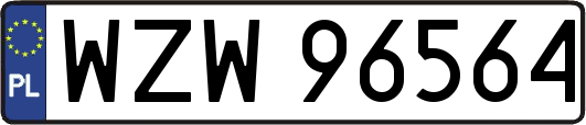 WZW96564