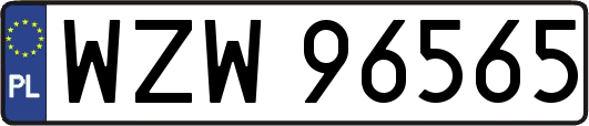 WZW96565