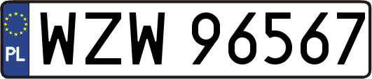 WZW96567